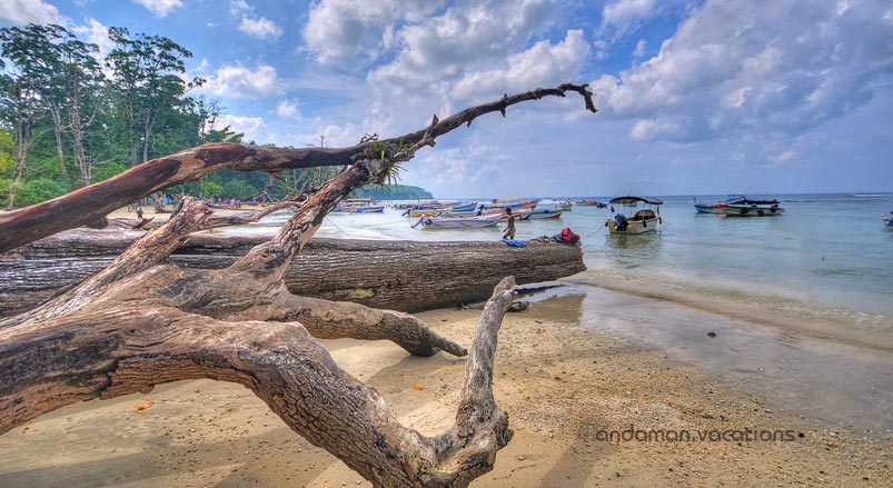 Elephant Beach in Andaman Island | Andaman Vacations